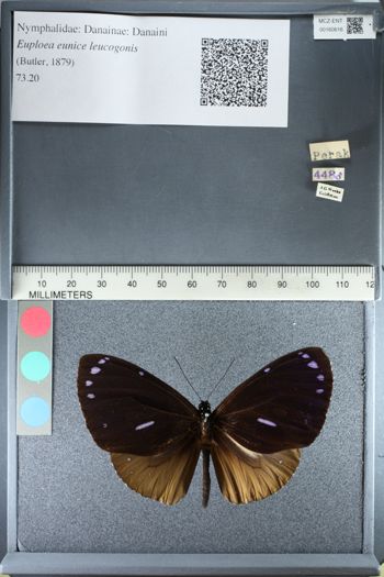 Media type: image;   Entomology 160616